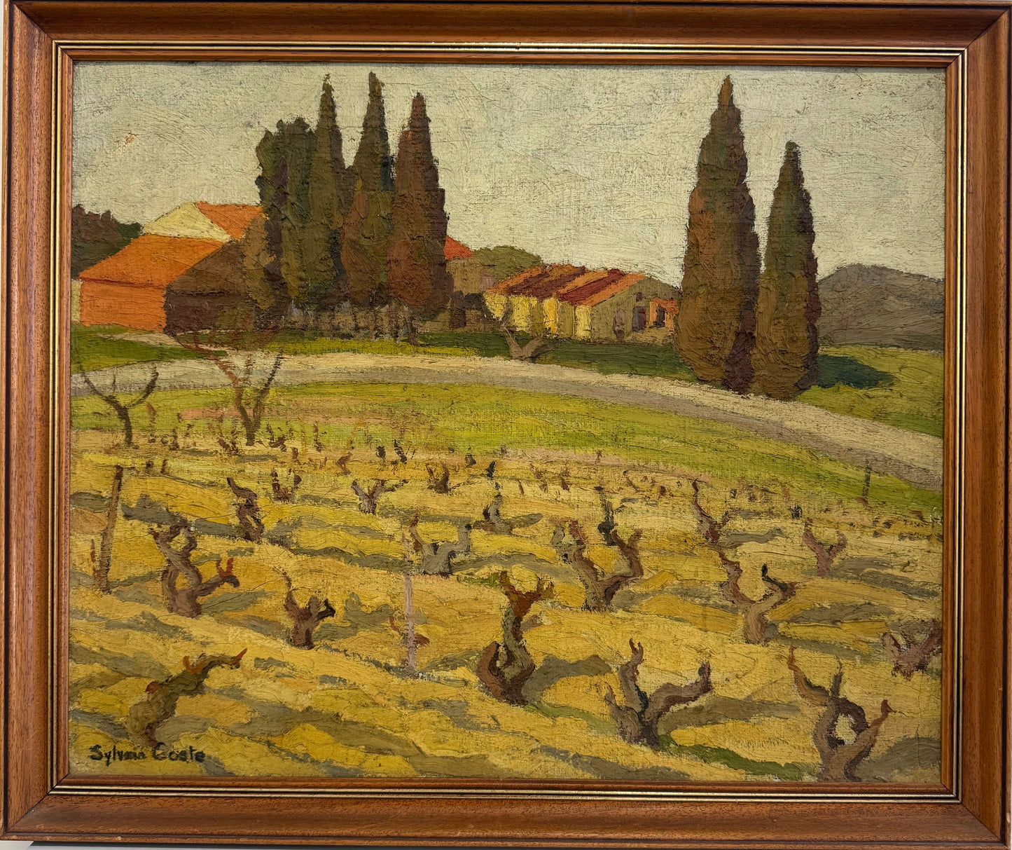 Grape Vines