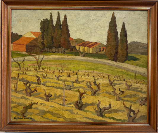 Grape Vines
